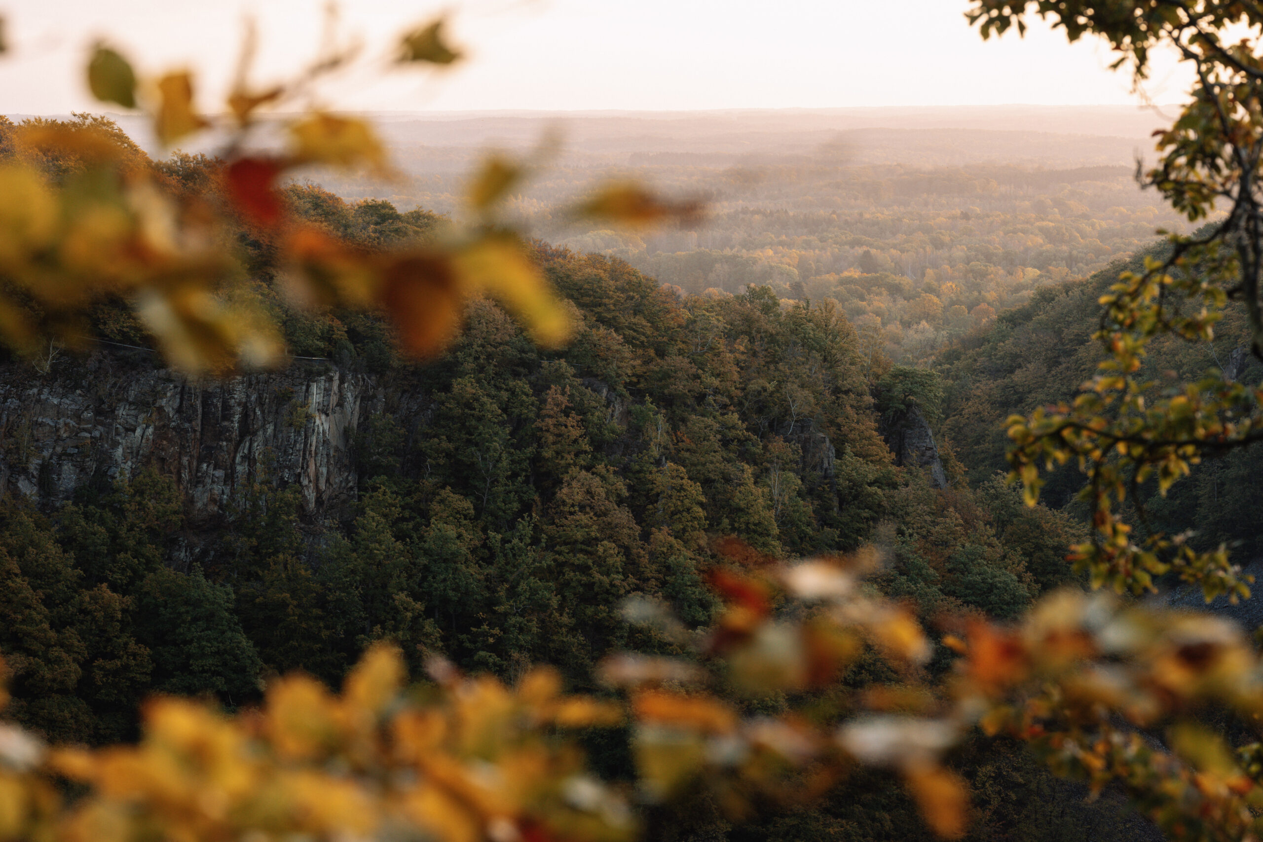 PILGRIMS HÖSTMÖTE 2026